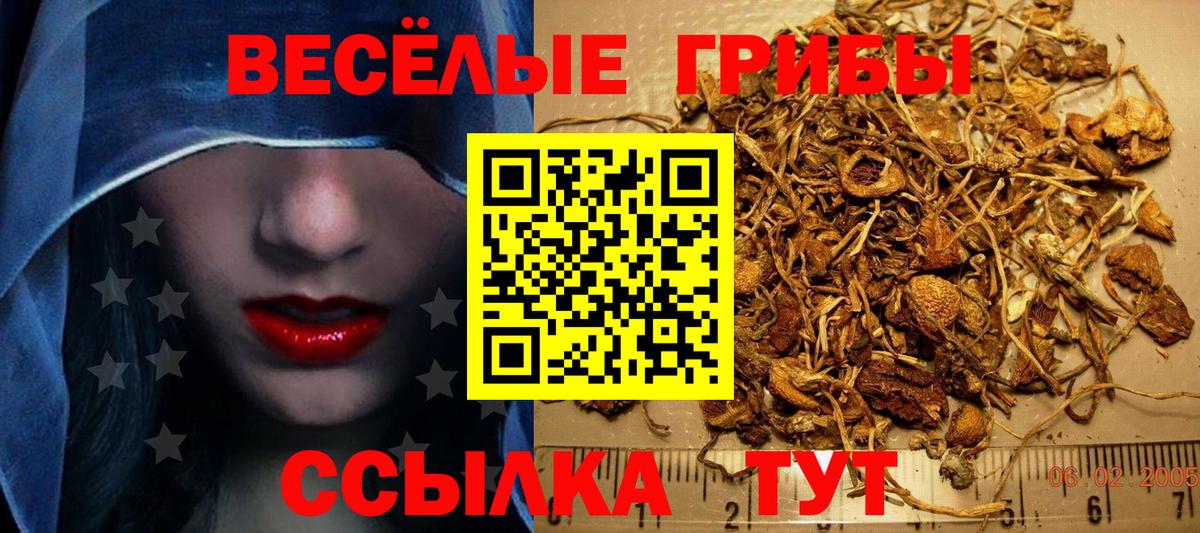 Псилоцибиновые грибы ЛСД  Галлюциногенные грибы мухоморы  Вход с VPN  Наро-Фоминск 